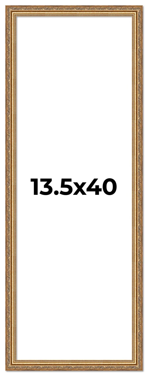 13.5x40 Museum-Quality Picture Frame with UV-Resistant Acrylic & Acid-Free Backing, Available in 4 Finishes - Gold, Silver, Bronze, and Black